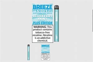 BLUEBERRY MINT - ZERO NIC - BREEZE 2K