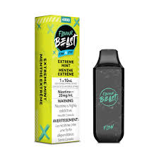 EXTREME MINT - FLAVOUR BEAST 5K