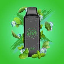 SUPER SPEARMINT - FLAVOUR BEAST 5K